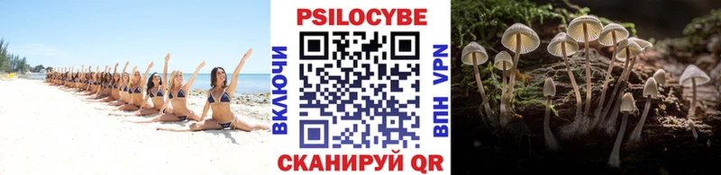 Купить  Мариинский Посад  Псилоцибиновые грибы GOLDEN TEACHER 