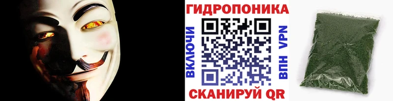 Канабис SATIVA & INDICA Мариинский Посад
